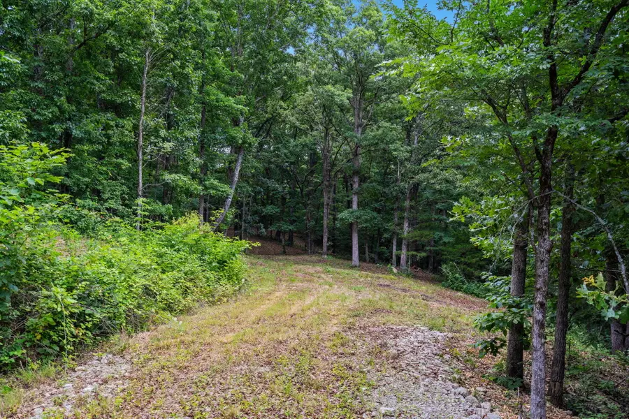 Tbd Deer Mountain Road, Walnut Shade, MO 65771 - #3