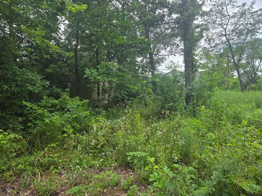 3287 Pomme De Terre Circle, Flemington, MO 65650 - #3