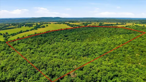 406 Horner Drive, Bradleyville, MO 65614