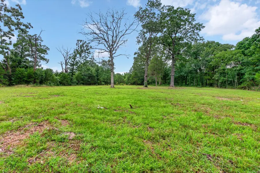 000 State Highway Dd, Bruner, MO 65620 - #2
