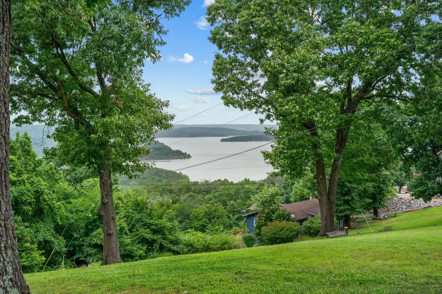 Lot 8 Wood Ridge Drive, Blue Eye, MO 65611 - #3