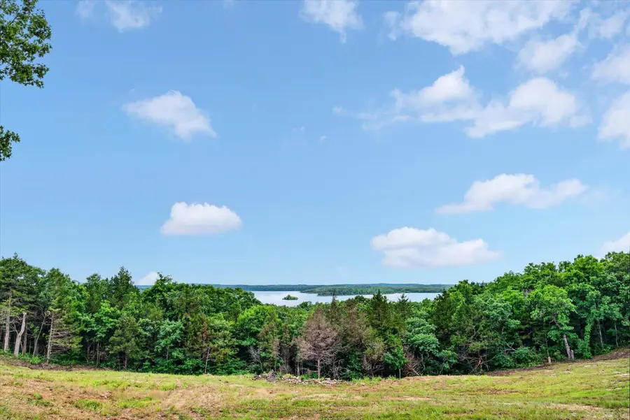 24164 State Highway 254 #Lot 2, Hermitage, MO 65668 - #3