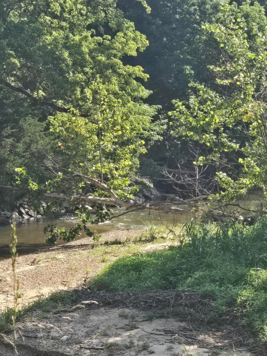 0000 Reaves Road, Mountain Grove, MO 65711 - #2