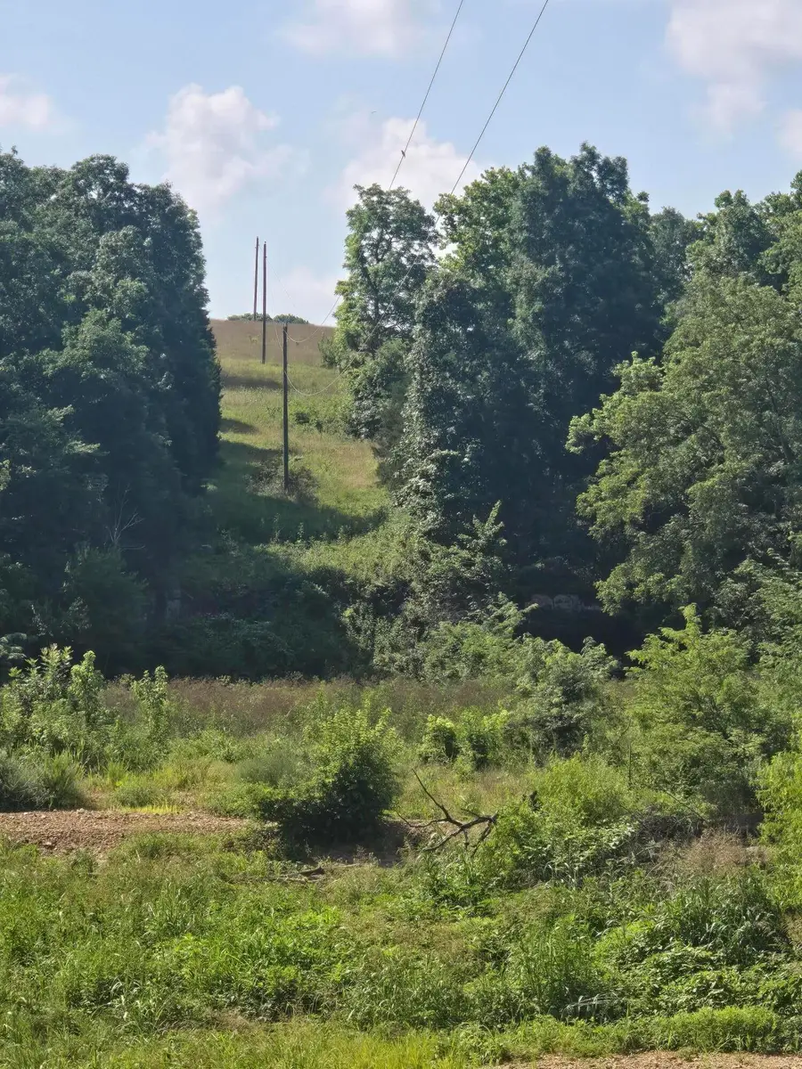 0000 Reaves Road, Mountain Grove, MO 65711 - #3