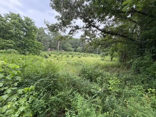 000 County Road 393 W, Thayer, MO 65791 - #3