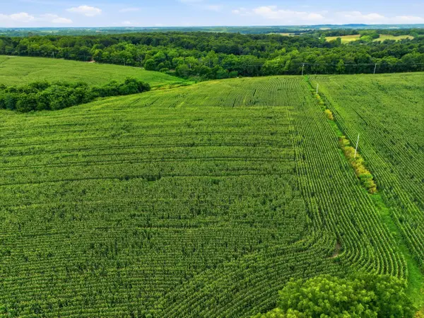 000 Gravel Point Road #2, Mountain Grove, MO 65711