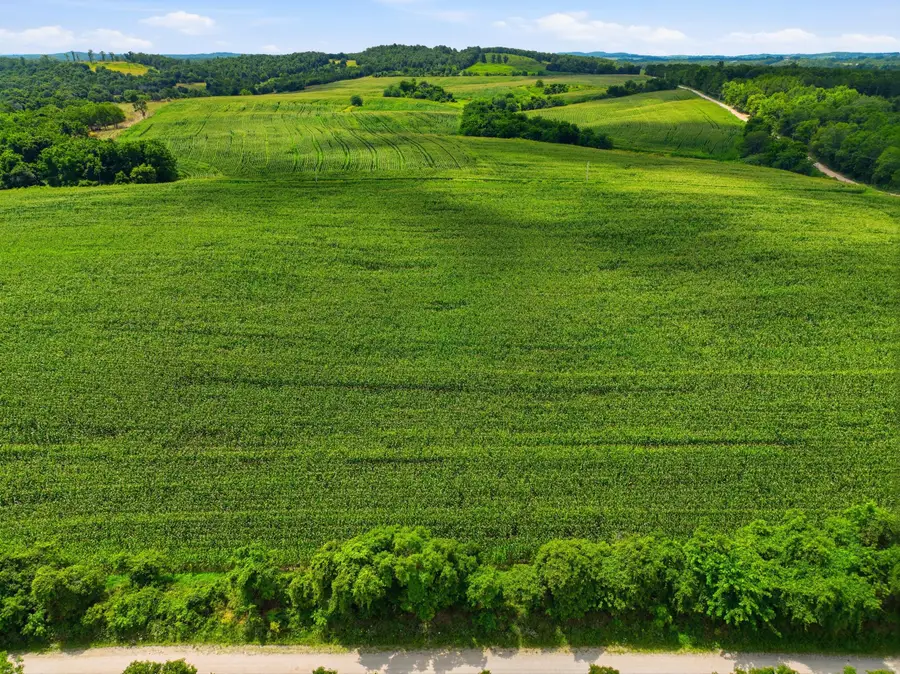 000 Gravel Point Road #2, Mountain Grove, MO 65711 - #2