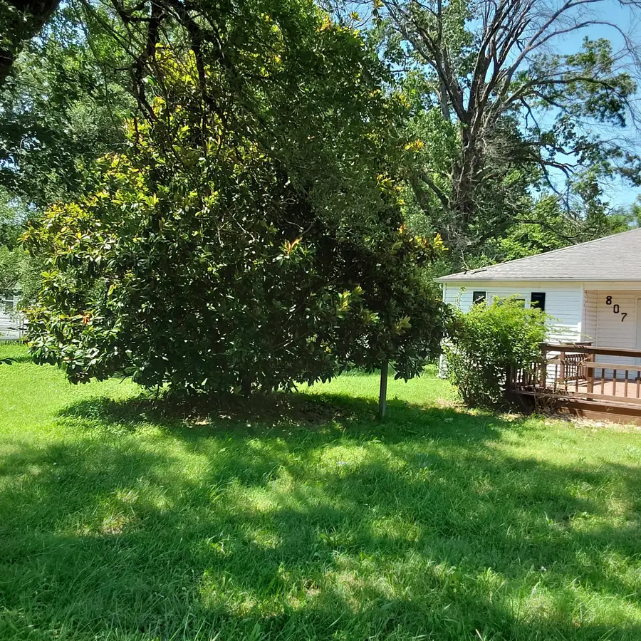 807 E Pennell Street, Carl Junction, MO 64834 - #2