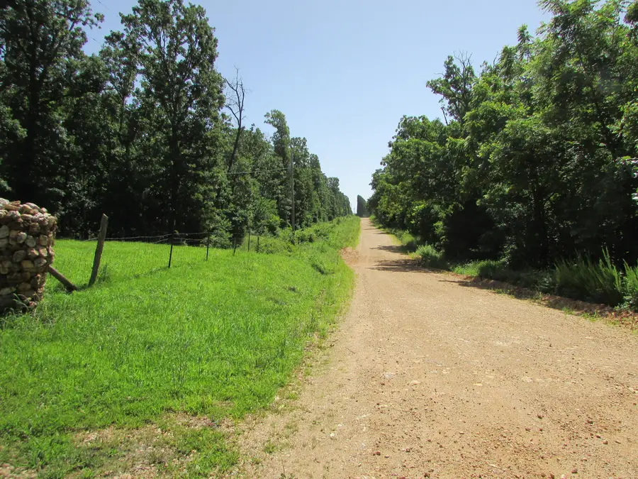 1315 Summit Road, Grovespring, MO 65662 - #2