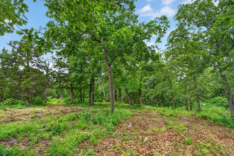 24164 State Highway 254, Hermitage, MO 65668 - #3