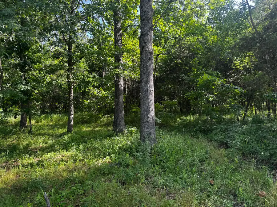 32485 Heritage Trail, Preston, MO 65732 - #3