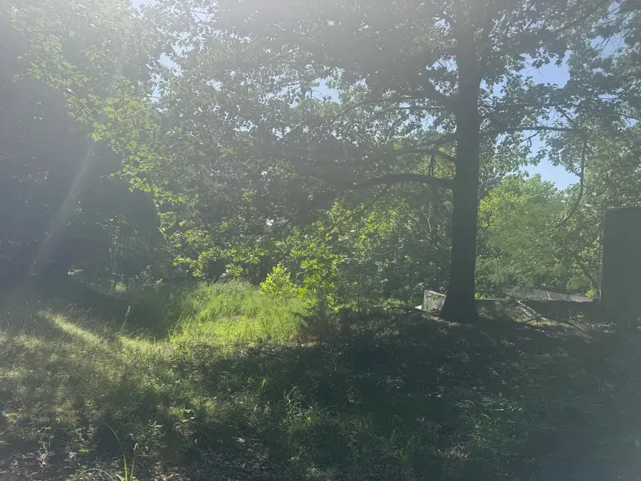 Tbd Center Road, Ozark, MO 65721 - #2
