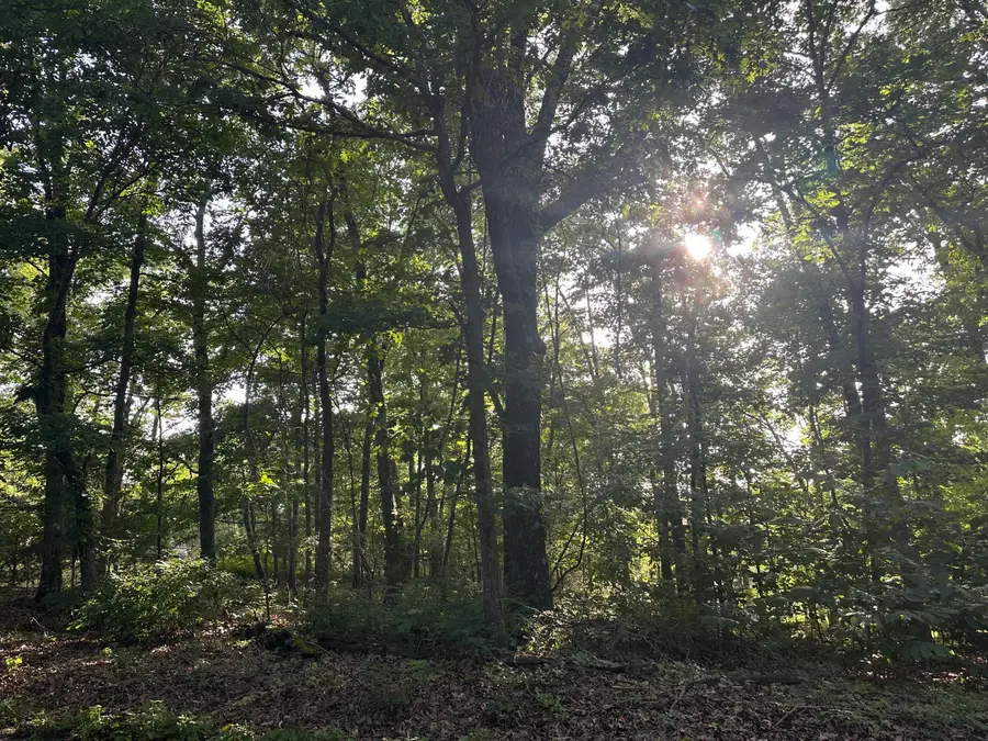 Tbd Center Road, Ozark, MO 65721 - #3