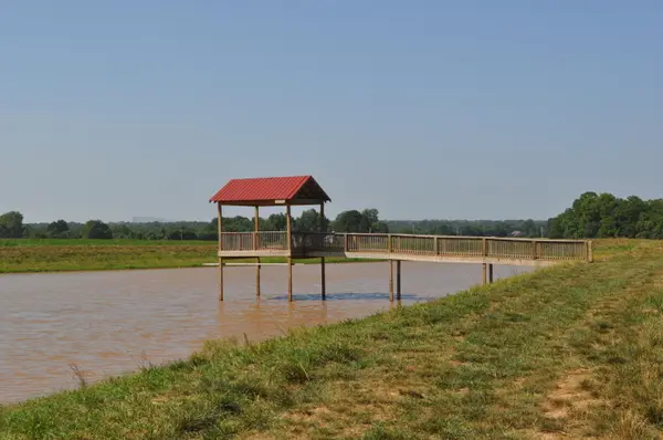 Tract 4 N Farm Road 175, Springfield, MO 65803