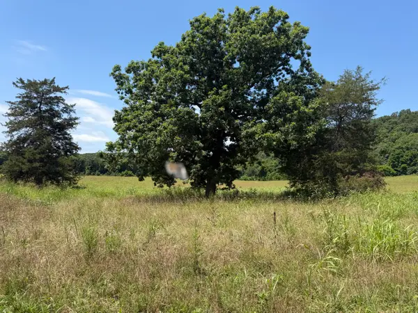 000 Northfork Village Street #Lot 2, Tecumseh, MO 65760