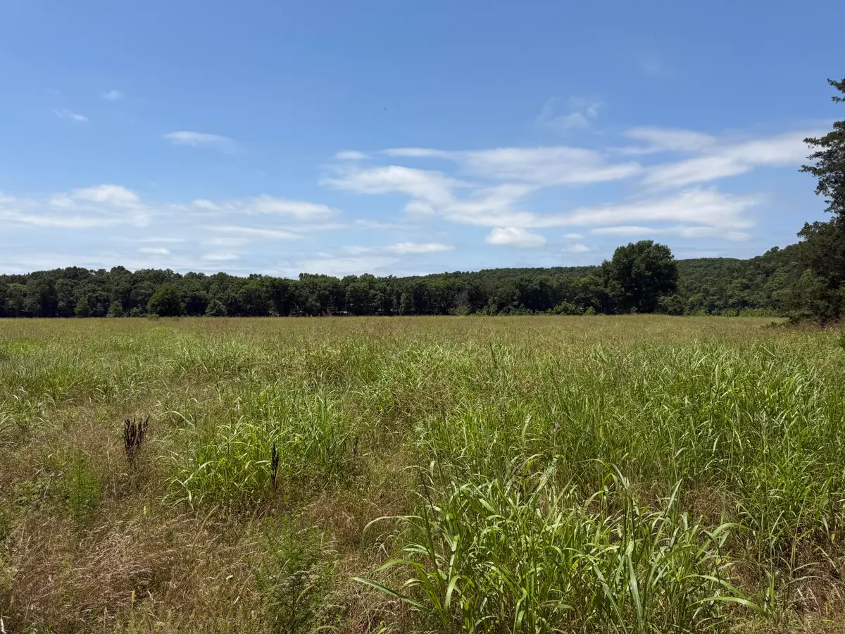 000 Northfork Village Street #Lot 3, Tecumseh, MO 65760 - #1