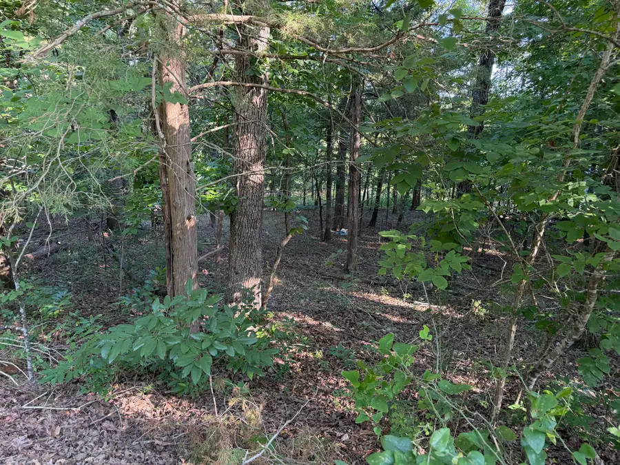000 Cedar Lane, Rockaway Beach, MO 65740 - #2