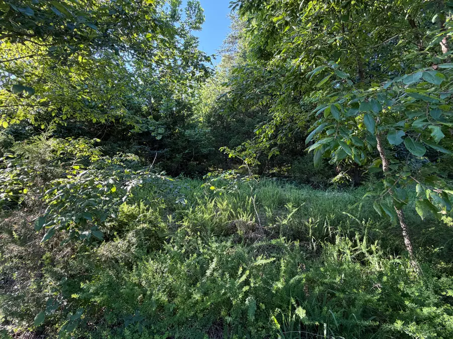 000 Wallace Drive, Rockaway Beach, MO 65740 - #3