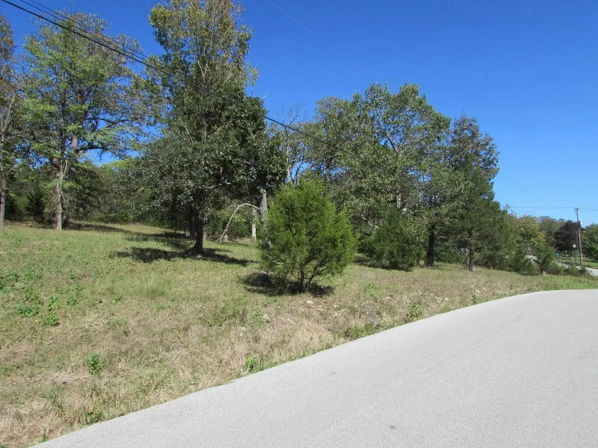 Tbd Green Briar Drive, Branson, MO 65616 - #1