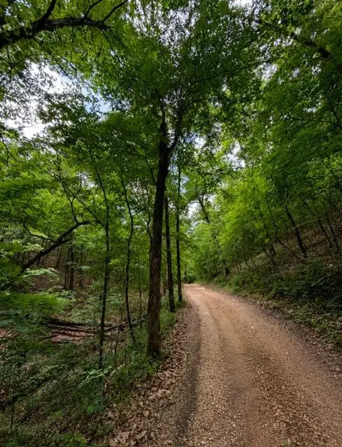 000 Oak Thicket Lane, Galena, MO 65656