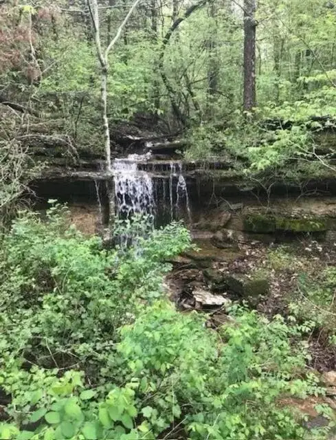 000 Oak Thicket Lane, Galena, MO 65656 - #3