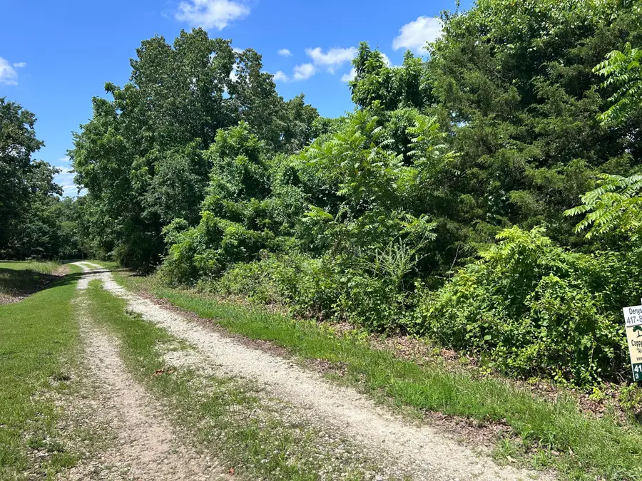000 Mcdonald Place #Tract 2 Quail Trails, Shell Knob, MO 65747 - #2