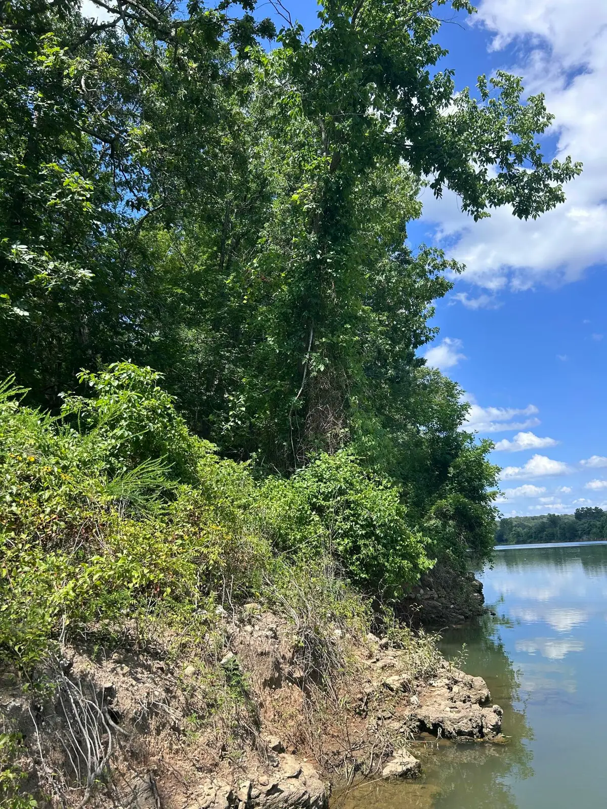 000 Saint Johns Wood Lane, Shell Knob, MO 65747 - #1
