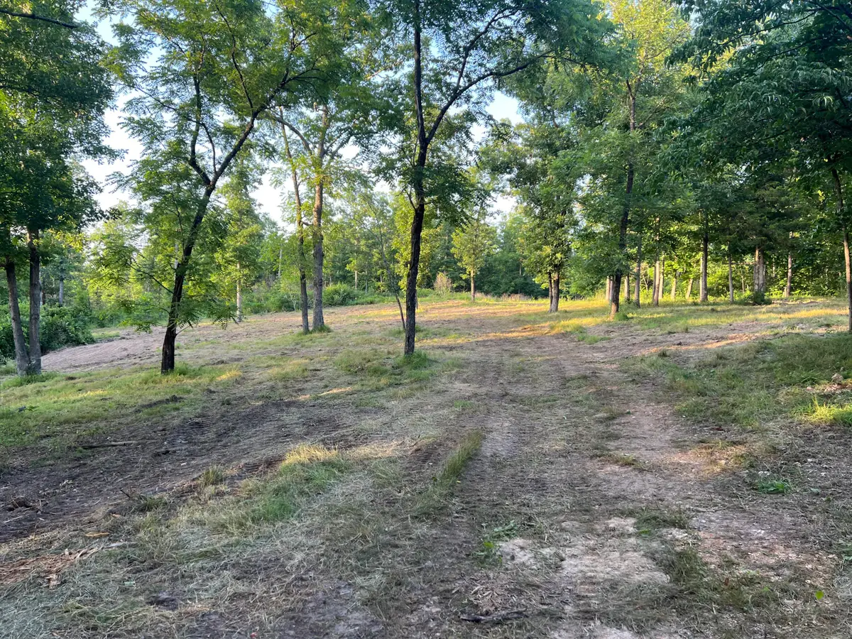 000 S 95 Lot 26 Highway, Ava, MO 65608 - #1