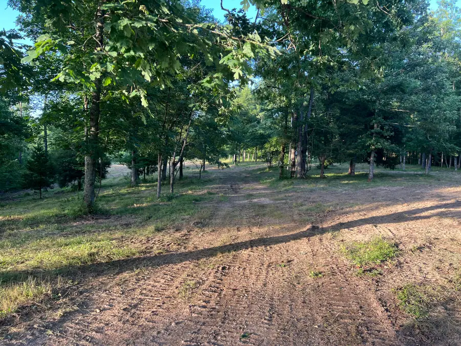 000 S 95 Lot 26 Highway, Ava, MO 65608 - #3