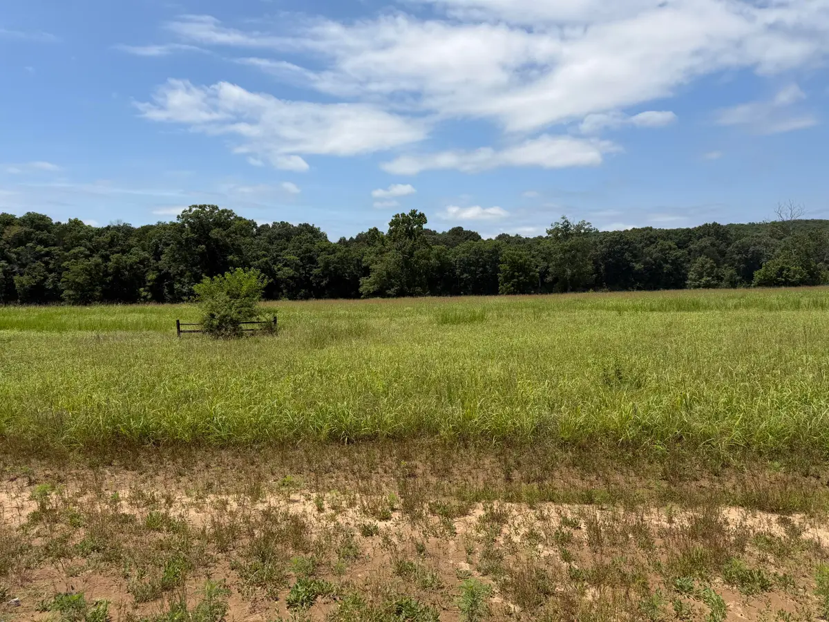 000 Northfork Village Street #Lot 7, Tecumseh, MO 65760 - #1