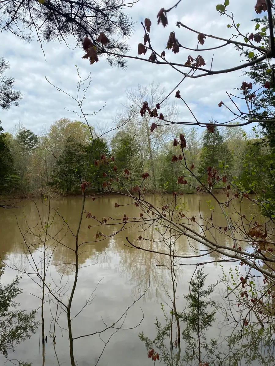 3365 County Road 153, Gainesville, MO 65655 - #3