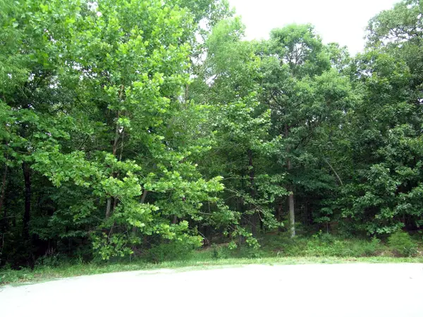Lot 4 Kings Way Drive, Marshfield, MO 65706