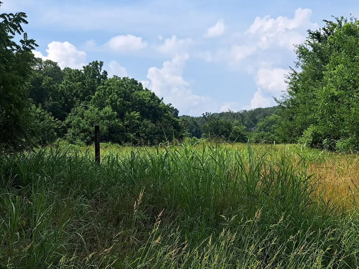 000 Little Mill Road, Granby, MO 64844 - #1