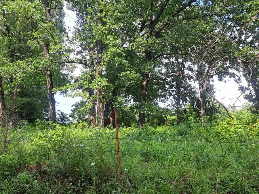 000 Little Mill Road, Granby, MO 64844 - #3
