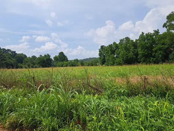 000 Reindeer Road, Granby, MO 64844