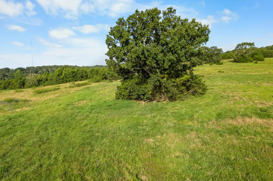 550 County Road 900, Theodosia, MO 65761 - #3