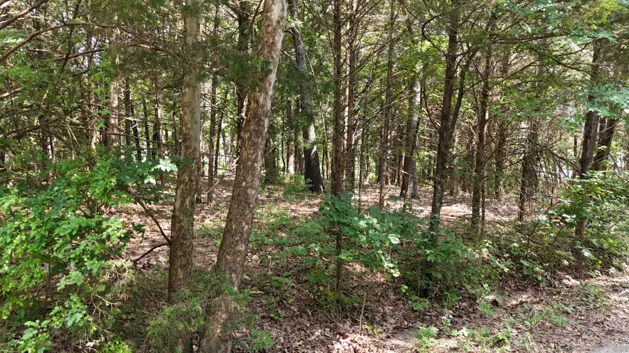 000 S Rosewood Street, Shell Knob, MO 65747 - #3