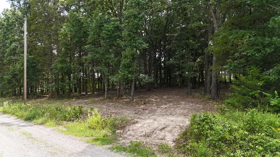000 Deer Run Street, Shell Knob, MO 65747 - #3