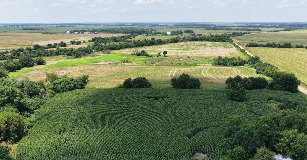 Tbd SE 80th Lane, Golden City, MO 64748 - #1