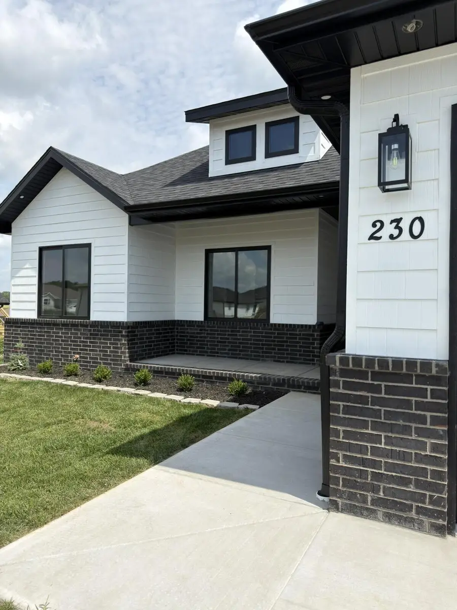 230 Hamilton Street, Rogersville, MO 65742 - #3