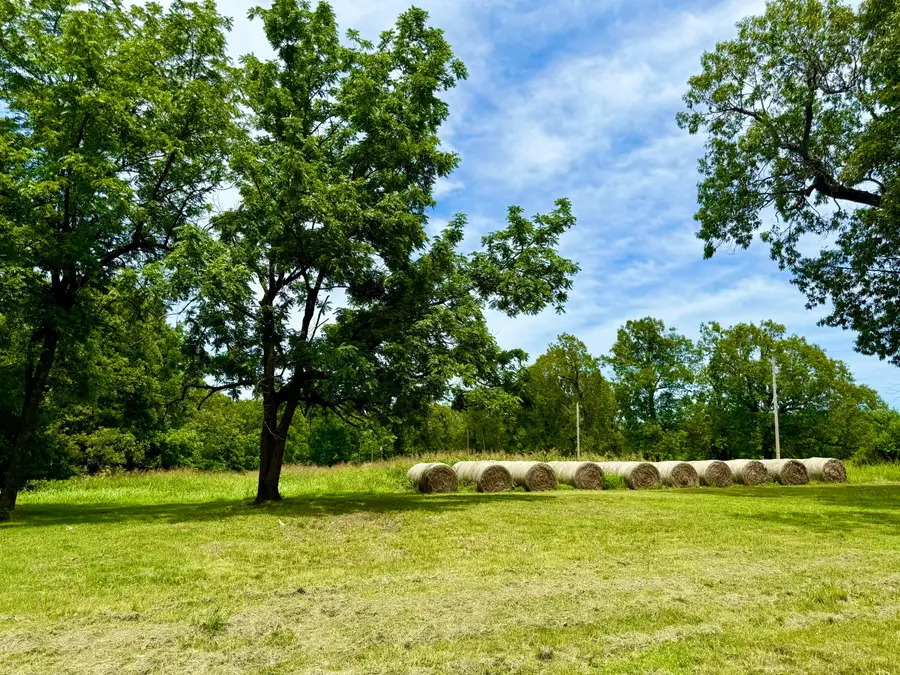 000 W Farm Road 94, Willard, MO 65781 - #3