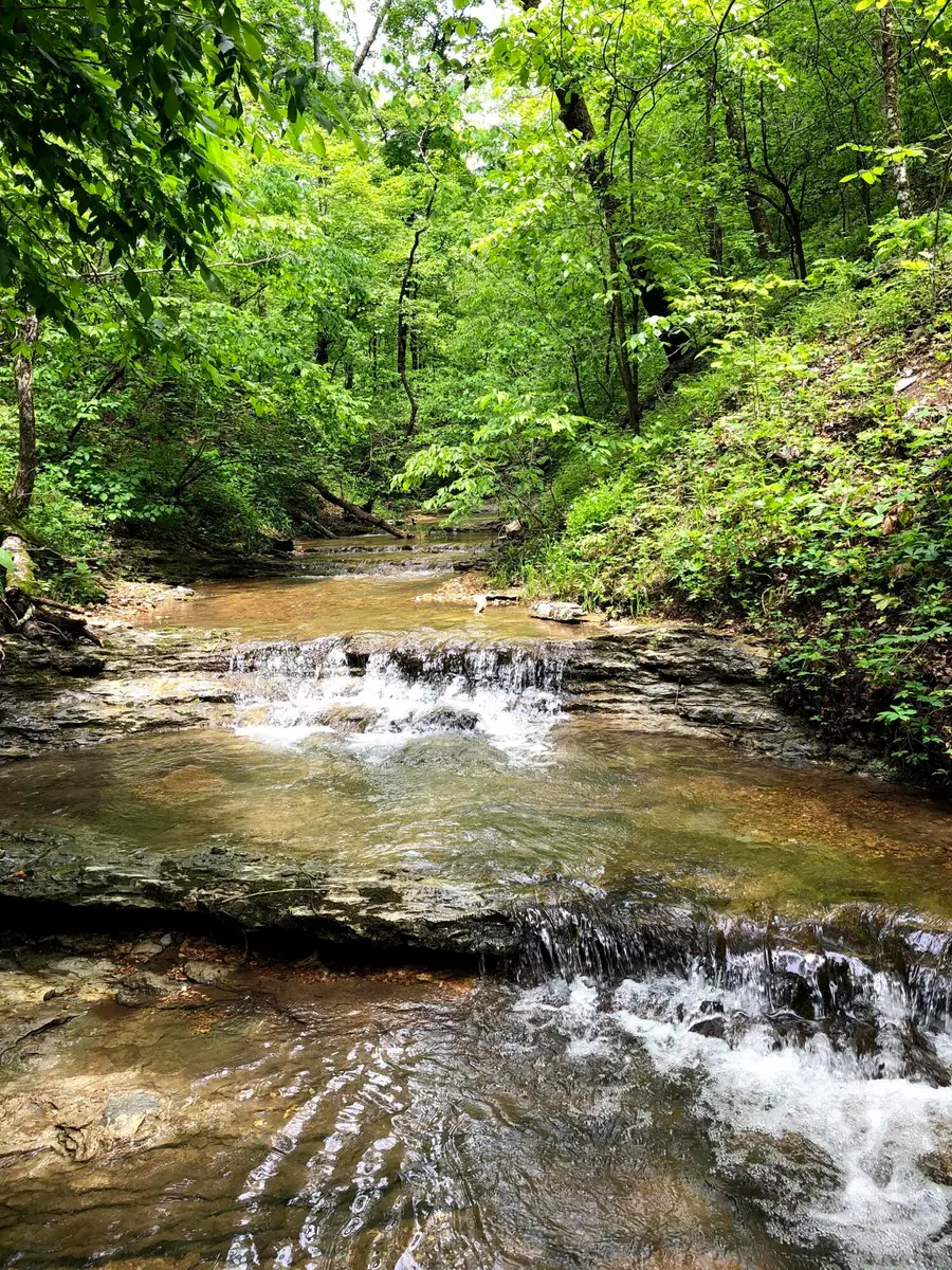 000 Coyote Ridge Road, Cassville, MO 65625 - #3