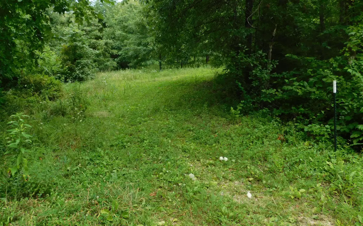 4286 SE 871 Road, Collins, MO 64738 - #1