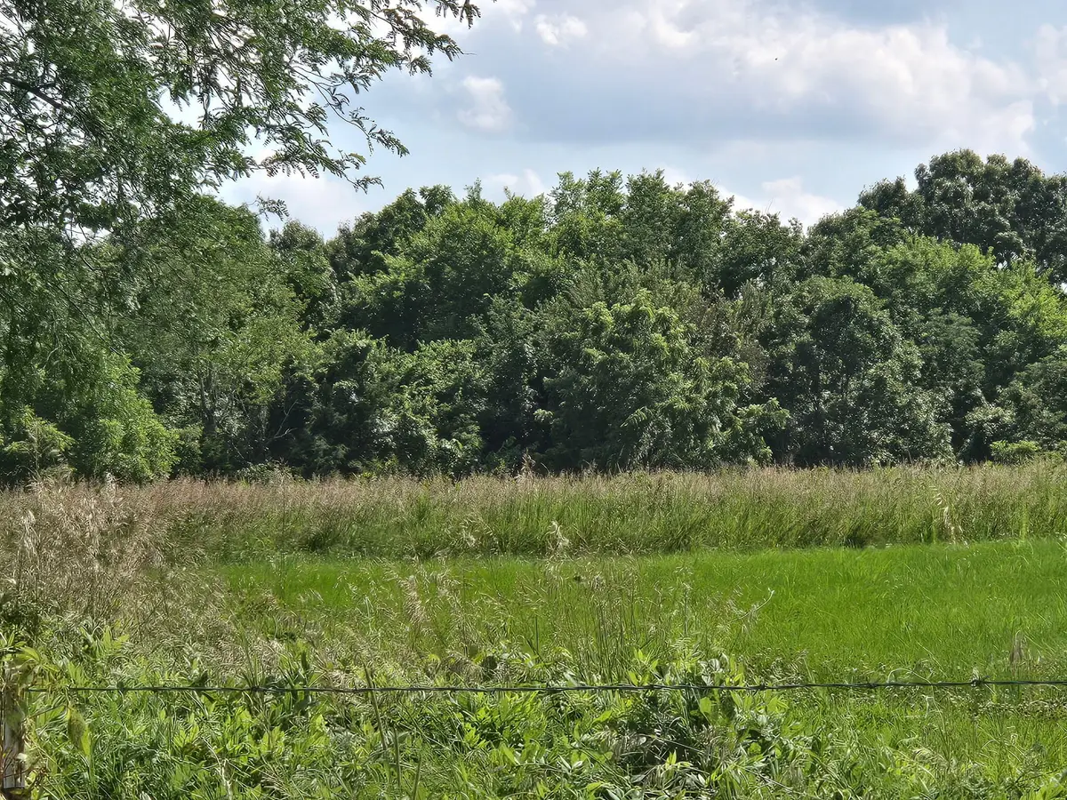 000 State Highway 65, Louisburg, MO 65685 - #1