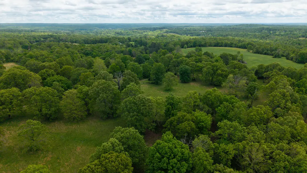5558 Mo 142, Thayer, MO 65791 - #1