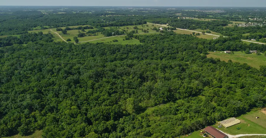 000 S Wilsons Creek Boulevard #44.98 Acres, Republic, MO 65738 - #3