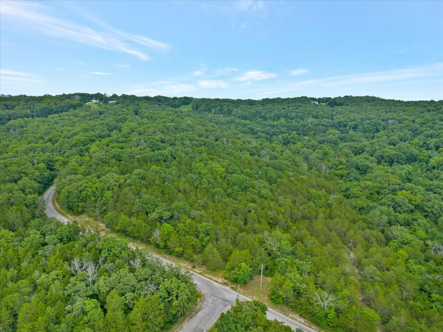 000 Pioneer Point Road Road, Galena, MO 65656 - #3