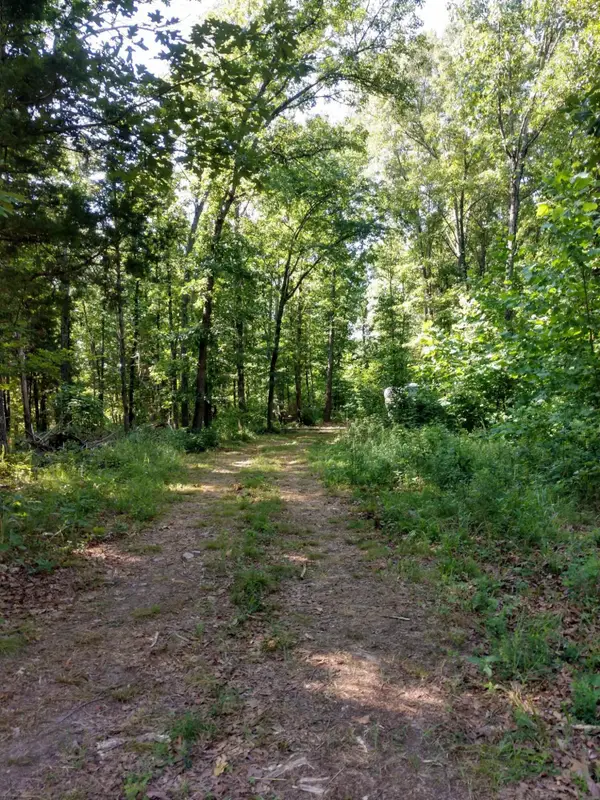 5366 Private Rd 5212, Willow Springs, MO 65793