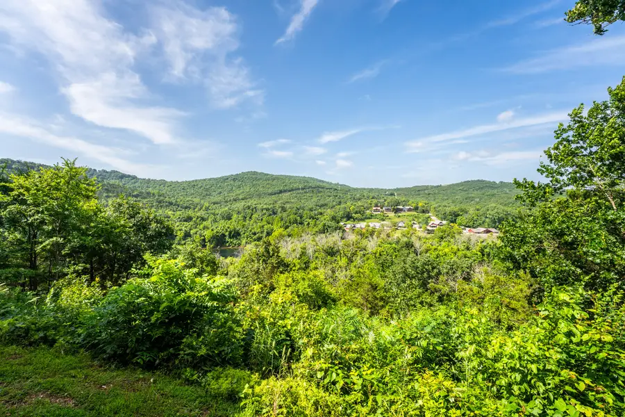 142 Grandview Drive #3, Branson, MO 65616 - #3