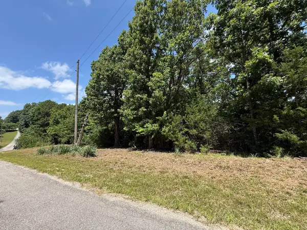 Lot 14&15 Mountain Estate Drive, Blue Eye, MO 65611